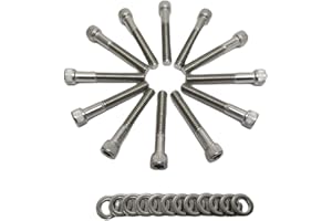 Z Whip SBF Stainless-Steel Intake Manifold Bolt Kit Stainless Steel Socket Cap BOLTS Compatible with Ford Small Block V8 Engines 260 289 302 5.0L Mustang EFI Cars and F-series Trucks SB