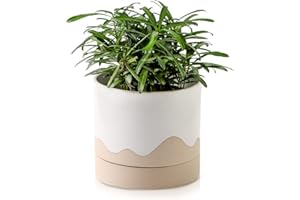 Nihow Ceramic Plant Pot: 6 Inch Planter with Drainage Hole & Saucer for Indoor & Outdoor Plants - Cylinder Round Flower Pot for Succulent/Herbs/Violets - White & Nature