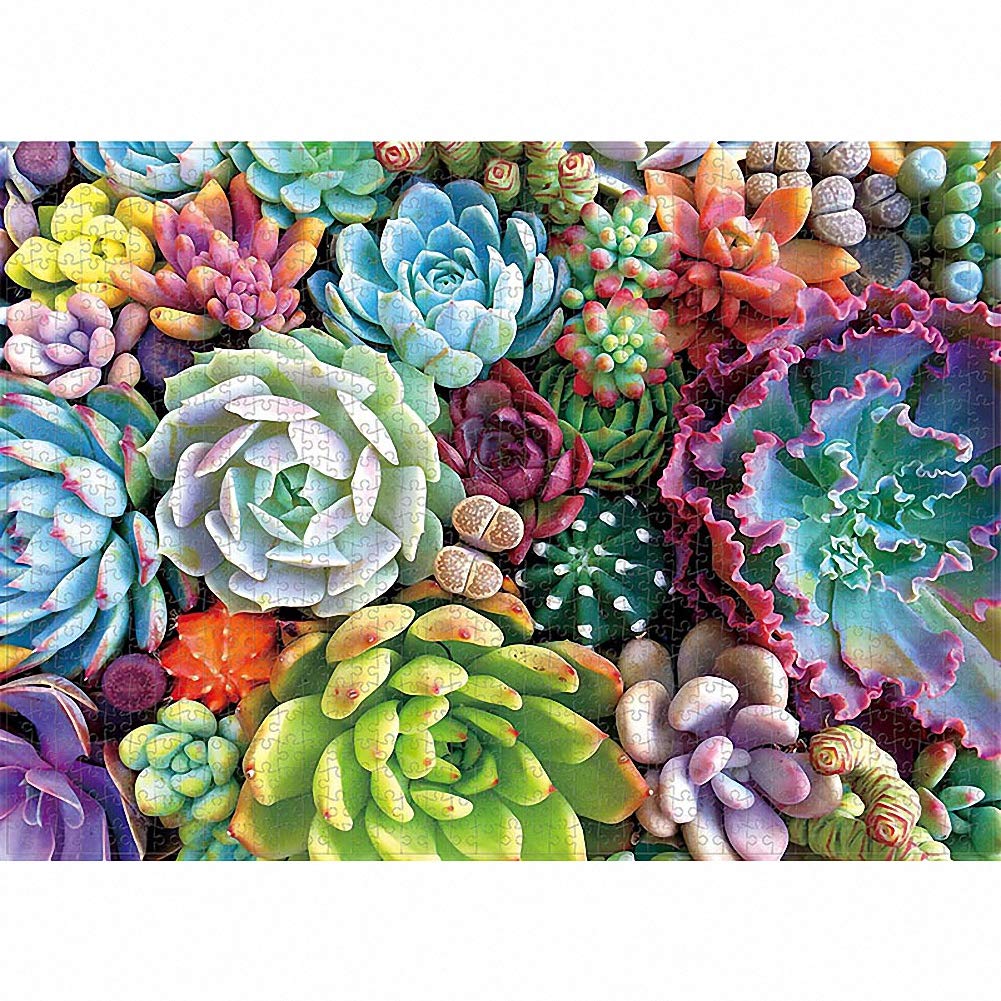 1000 Piece Puzzle- Succulents - Adults Teens Kids Jigsaw Large Puzzle Toys Gift Educational Intellectual Decompressing Fun Family Game
