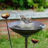 HOUYANG Diam 11.4" W x 32.3" H Cast Iron Pedestal Bird Bath, Bird Baths for Outdoors,Vintage Metal Bird Bath Garden Yard Decoration