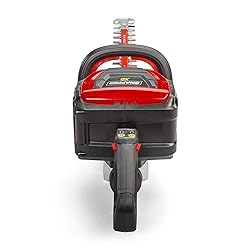 Snapper XD 82V MAX Cordless Electric Wood Bundle
