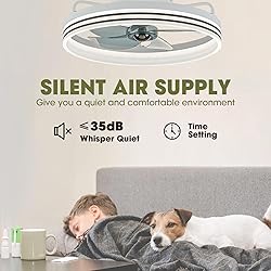LUDOMIDE Smart Ceiling Fan with