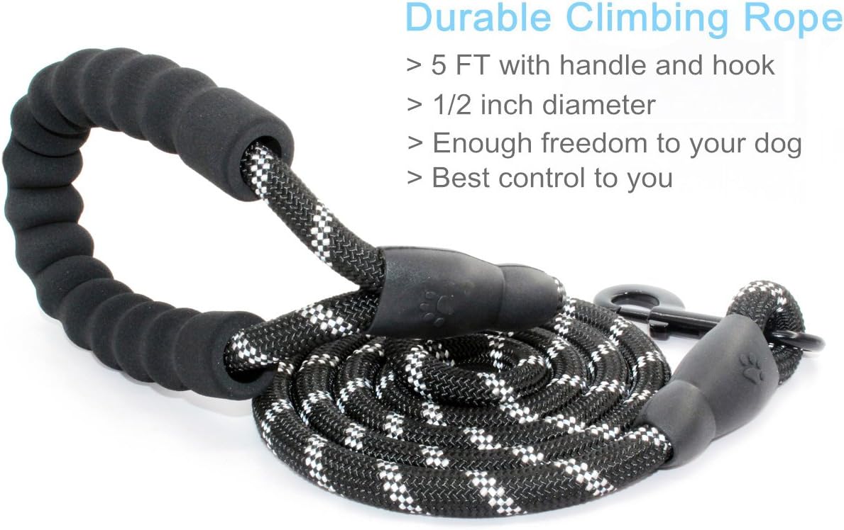 BAAPET 5 FT Strong Dog Leash with Comfortable Padded Handle and Highly Reflective Threads for Medium and Large Dogs (Black) : Pet Supplies