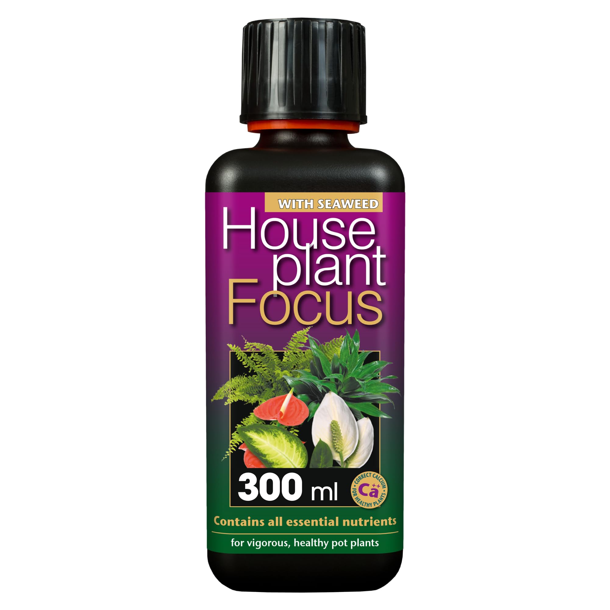 Houseplant Focus Concentrated Liquid Fertiliser, 300ml - Growth Technology Fertiliser for Indoor Plants - Professional Grade House Plant Food Concentrate with Kelp Seaweed Extract - Makes 60L