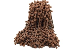 ZHIHENG 20 Yards Pom Poms Fringe Ball Trim Sewing Ribbon Embroidered Lace Tassel Applique for Clothing Accessories Bedding Quilting Crafts Supplies (Chocolate)
