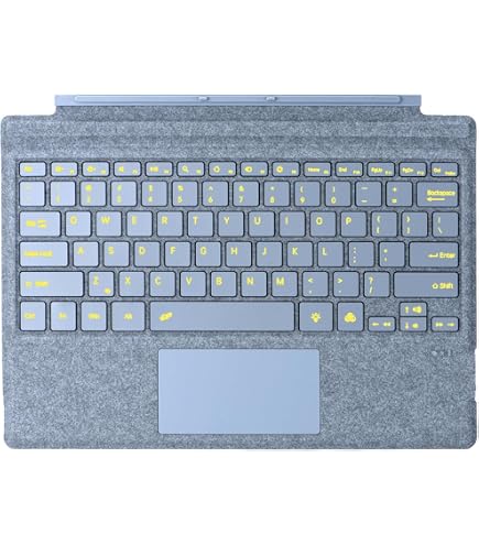 Microsoft Surface Pro 4 Type Cover Black (English) : Amazon.ca
