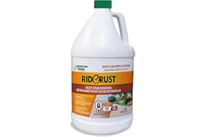 PRO PRODUCTS American Hydro Systems 2662 Rid O' Rust Liquid Rust Stain Remover, 1 Gallon