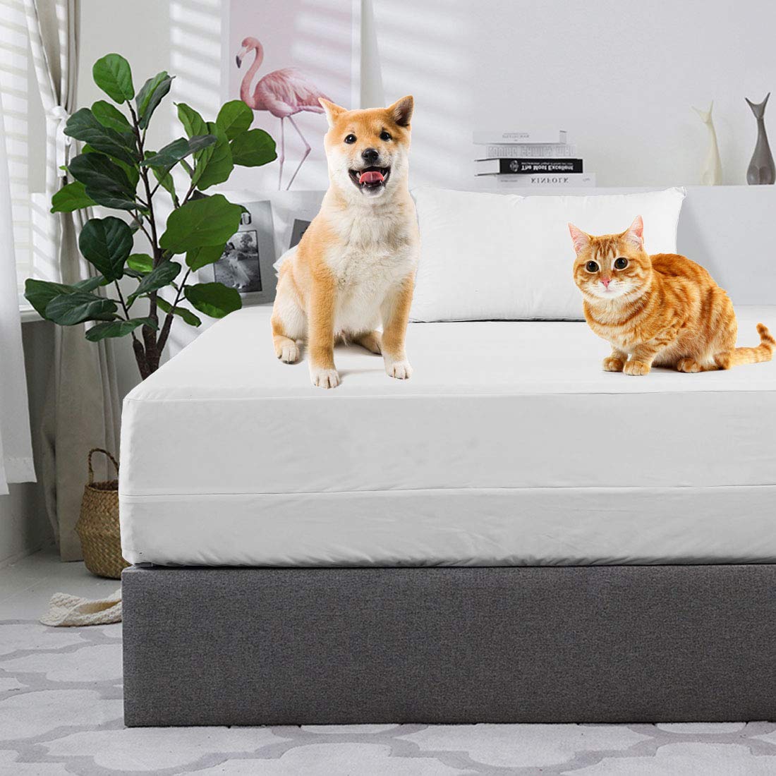 The 10 Best Cooling Encasement Mattress Protector