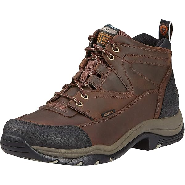 Amazon.com | ARIAT Men display picture 3