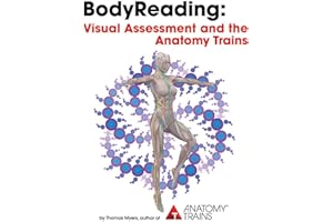 BodyReading: Visual Assessment and the Anatomy Trains