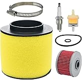 Eamonhigh TRX400 Air Filter Replacement for Honda Foreman 450 400 TRX400 TRX450 1995-2004 Rancher 350 TRX350 2000-2006 17254-