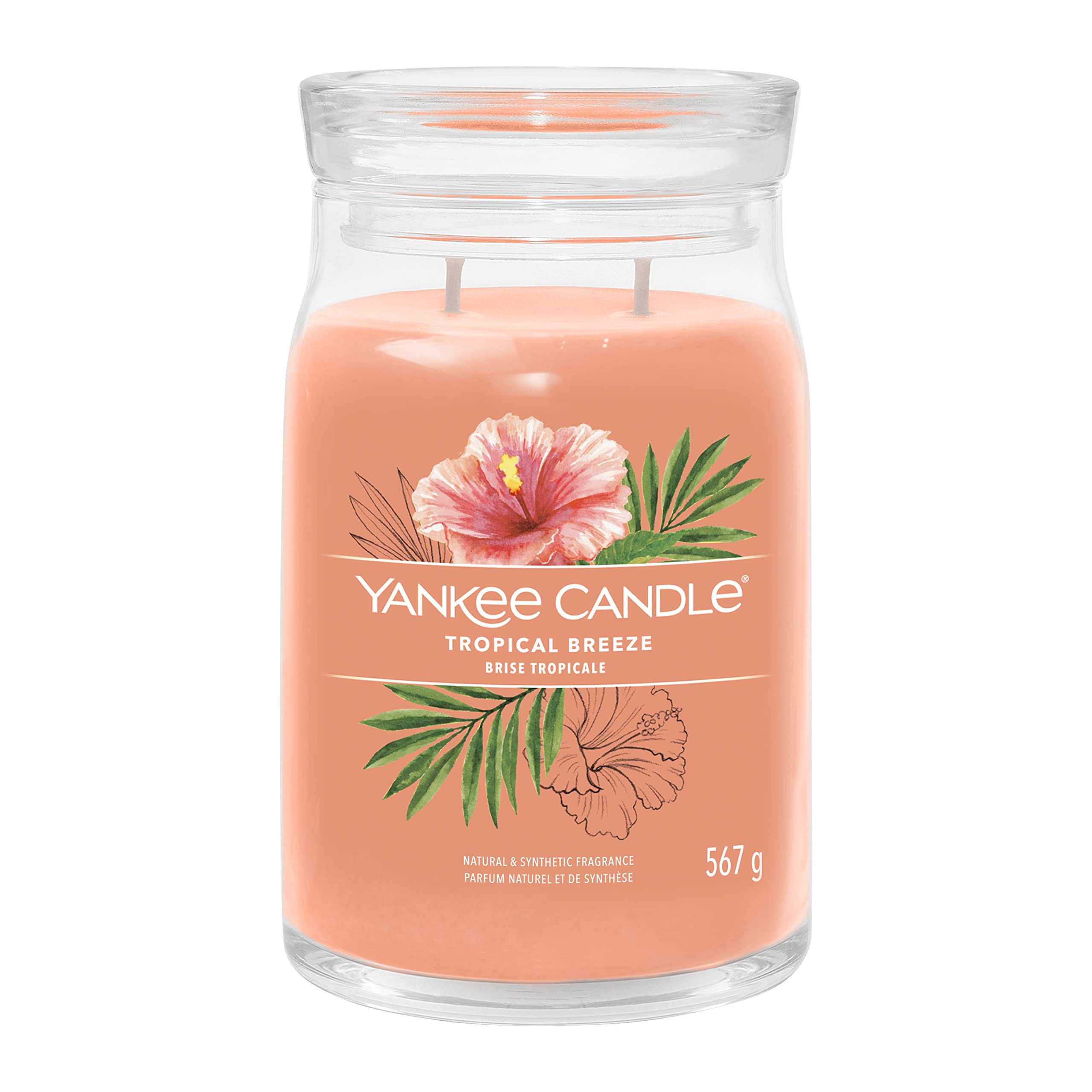 Yankee Candle Signature Scented Candle | Tropical Breeze Large Jar Candle with Double Wicks | Soy Wax Blend Long Burning Candle | Perfect Gifts for Women (1629985E)