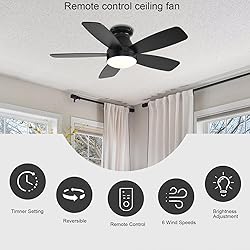 JSAITEE Ceiling Fans with Lights, 42 Inch Low
