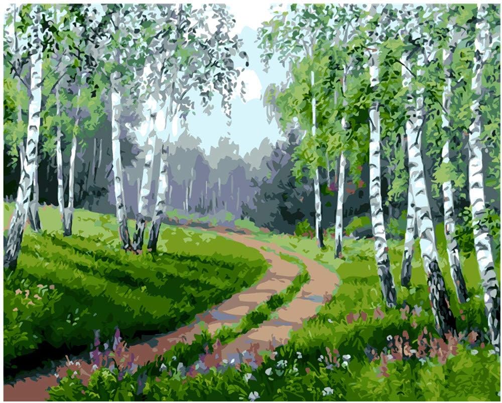 Thinktoo DIY Paint by Numbers, Canvas Oil Painting Kit for Kids & Adults, 16" W x 20" L Drawing Paintwork with Paintbrushes, Acrylic Pigment-The Forest (#QSDQ)