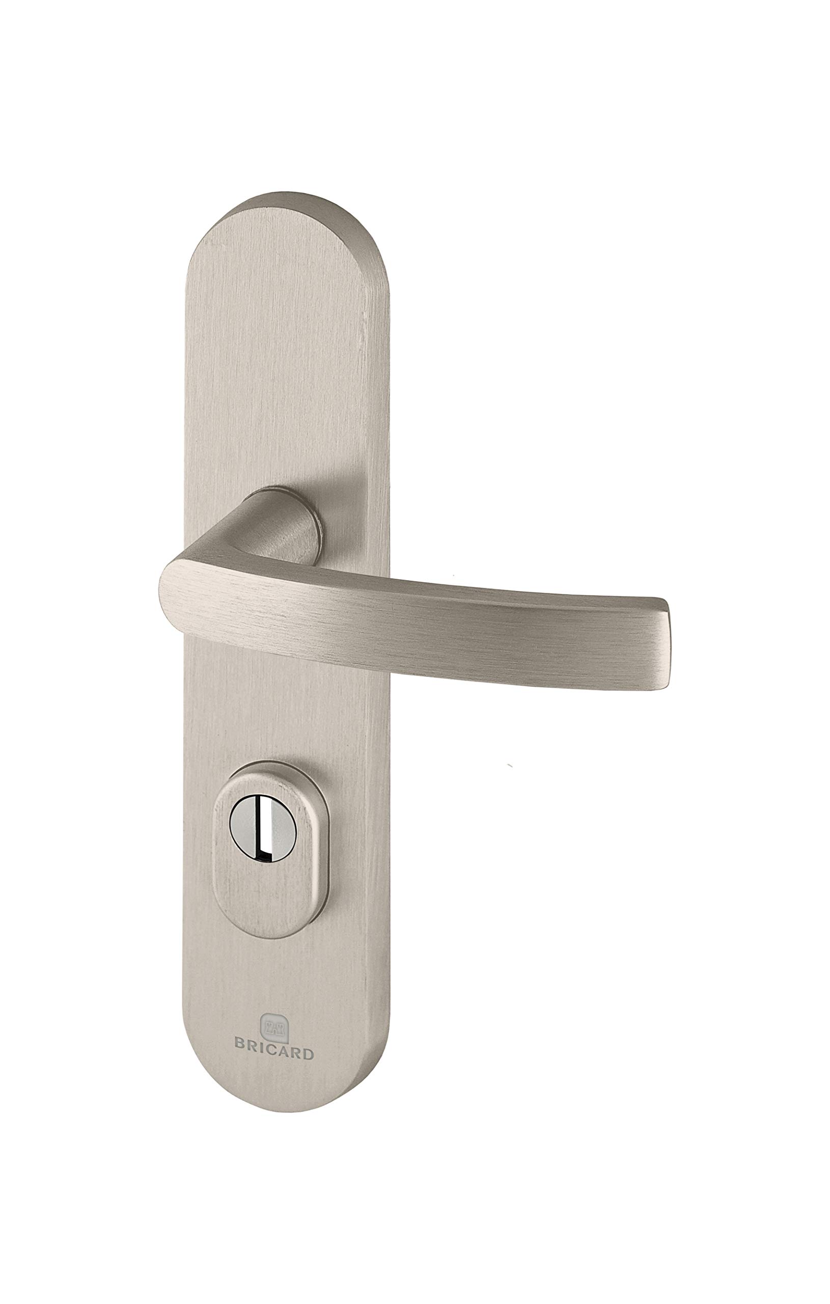 Bricard 9900151 Set of Armoured Handles on Essential Kickstand Plate + Stand for Front Door (for European Cylinders), Stainless Steel