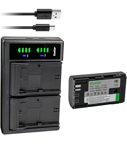Amazon.com : Kastar LPEL Fully Decoded Battery Replacement for