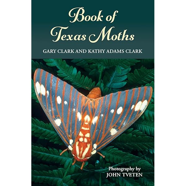 【洋書】Stumpwork Butterflies & Moths Stumpwork Butterflies & Moths by Jane Nicholas – a Book