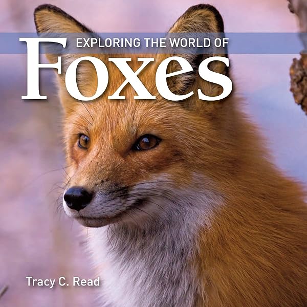 洋書 THE FOX S NORTH AND SOUTH Exploring the World of Foxes: Read, Tracy C.: 9781554076253