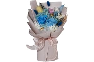 CIGOBY Bouquet of Flowers Flowers for Delivery Free Prime Preserved Roses Fresh Flowers Decoration for Valentine's Day, Mother's Day,Wedding Decor,Birthday Decor and Centerpiece(Blue)