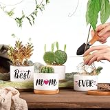 Buioata Mum Gifts Succulent Plant Pots Set of 3 Home Decor view 6