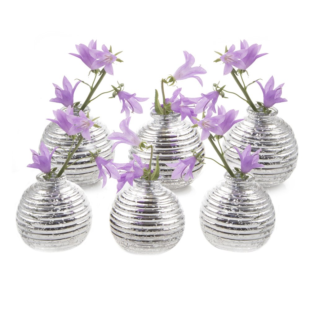 Chive Smasak Small Round Glass Flower Vase Decorative Rustic