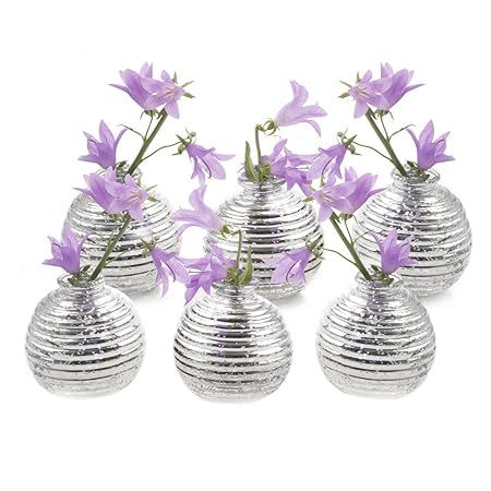 Chive Smasak Small Round Glass Flower Vase Decorative Rustic