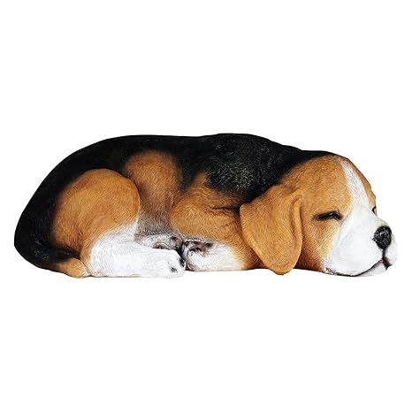 Wonderland Beagle Dog Sleeping Statue, Real Looking Made of polyresn. Garden Decoration, Home Decorative Item, Gift, Gifting, Balcony Decor