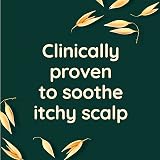 Aveeno Scalp Soothing Colour Protect Conditioner Blackberry & Quinoa 300ml view 5
