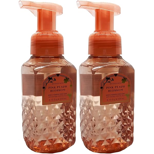 Amazon.com : Bath and Body Works Gentle Foaming Hand Soap