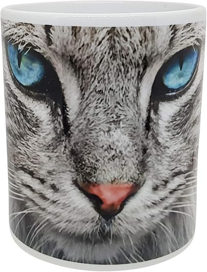 Kalfa Tasse Katze Grau Mit Blauen Augen Panorama Druck Geschenkidee Amazon De Kuche Haushalt