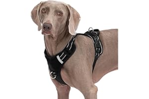 Abuandi Tactical Dog Harness Reflective Adjustable Dog Vest with Handle, Easy Control Service Dog Harness Training Walking, No Pull Dog Harness for Small Medium Large Dogs, Name Plate