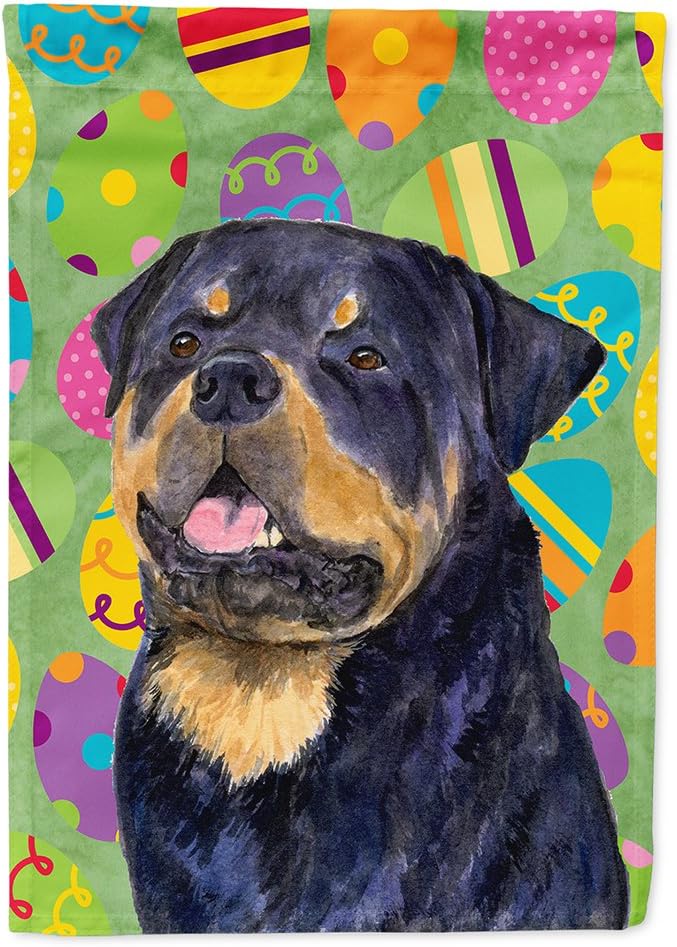 rottweiler large size