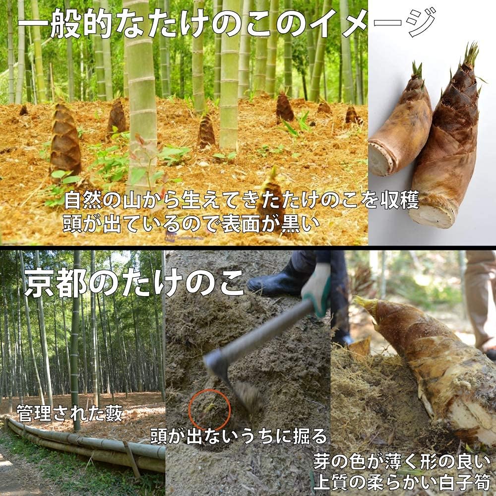 Amazon 朝堀り 京の小たけのこmix2kg 小さい筍 京都より ぬか付き クール便 農薬 化学肥料 除草剤不使用 3月中旬頃よりご注文順に産直発送 ハッピーベジタブル たけのこ 通販