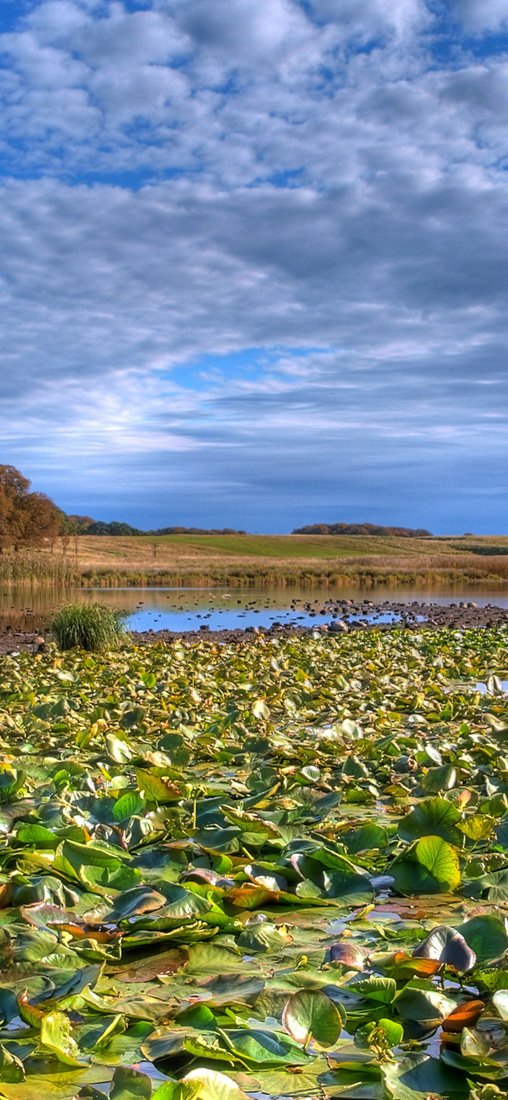 PeelitStickit, Beautiful Nature Wall Murals, ID-3140, vinyl