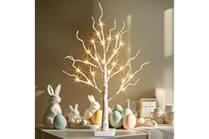 Vanthylit Lighted Tree, White Birch Tree with LED Lights, Prelit Artificial Tree with Timer, Centerpiece Tree Light for Christmas Decorations, Light Up Tabletop Tree Home Decor (2 FT, Warm White)