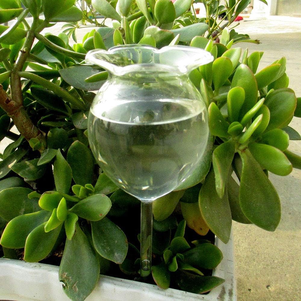 Freeby Glass Plant Watering System Lampshade Shape Hand Blown Clear Glass Self Watering System Watering Bulbs Mini Decorative