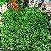 SLSON Aquarium Artificial Grass Lawn Ornament Landscape Plastic Green Plants for Saltwater and Freshwater Fish Tank Decorations with 8 Pcs Suction Cups,9 inch Square