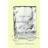 Liquid Modernity