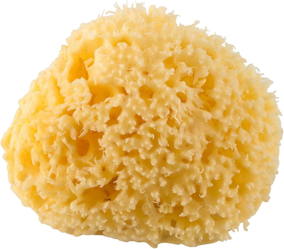 Rotho Babydesign Mediterranean Sponge, Natural Product, Diameter: 9-10 cm, Yellow