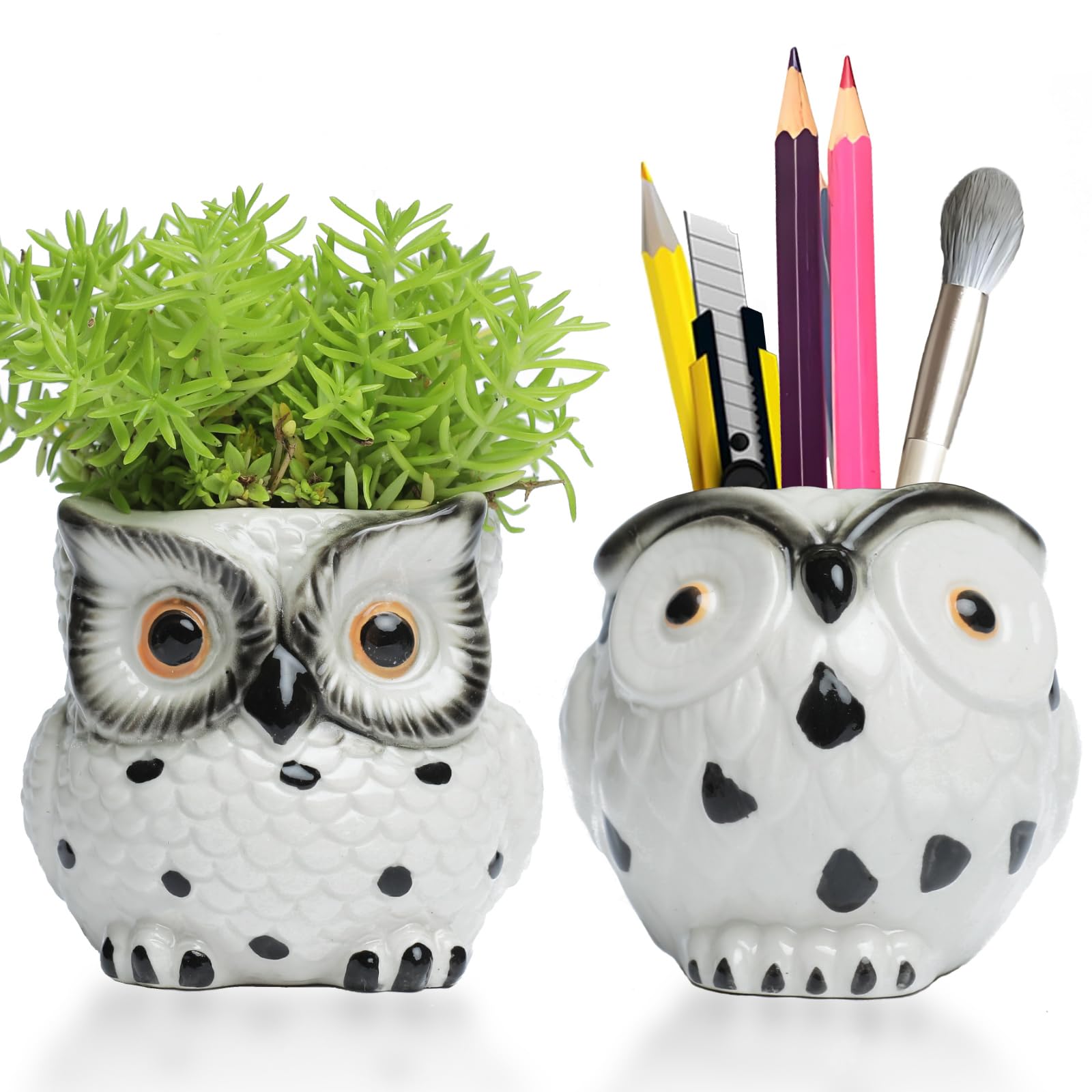Owl Ceramic Planter Mini Plant Pots 2Pack With Drainage Pen Pencil Holder Cute Flower Planters For Indoor Herb Garden Kit Cactus Plant Pots Air Plant Kitchen Window Gardening Starter Set Owl Gifts