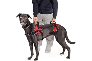 Doggie Stylz Multi-Functional Full-Body Lifting Dog Harness Vest, Designed for Front-Only, Rear-Only or Full-Body Lifting. Please Measure Your Dog Before Ordering.