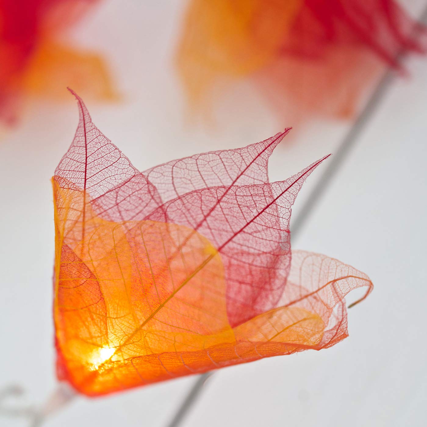 Blaze On Natural Leaf Fairy Lights (Fire Tones) – 20 Warm White LED Lights – Handcrafted from Real Rubber Tree Leaves – USB Powered – Includes UK 3–Pin USB Adapter – Indoor String Lights