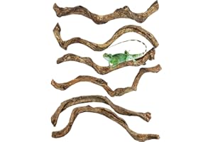 Apatal Reptile Branch Decor Snake Climbing Wood Branches Lizard Habitat Decorations Terrarium Natural Forest Tree Trunk Ornament for Bearded Dragon Geckos Chameleon Frog 6 Pcs - S