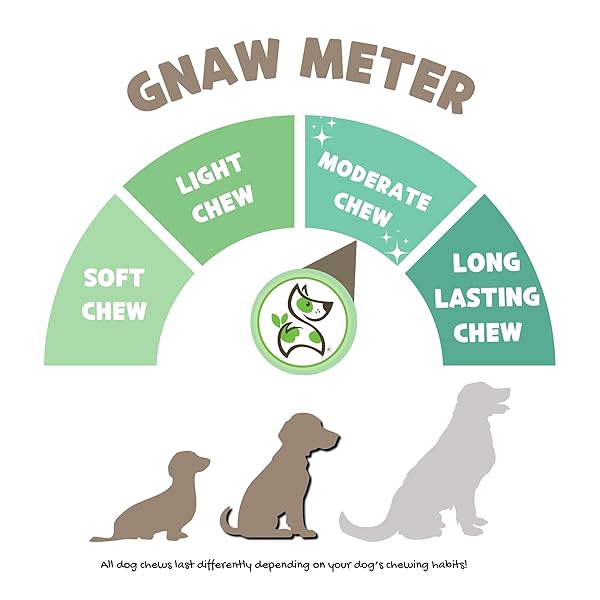 NATURE GNAWS VARIETY PACK FOR SMALL DOGS (12 COUNT) – BULLY STICKS, BEEF TENDONS AND TRIPE TWISTS FOR DOGS – NATURAL LONG LASTING BEEF DOG CHEW BONES – RAWHIDE FREE