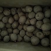 カスタマー画像