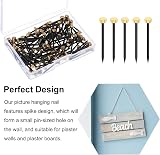 Rowwait 50Pcs Picture Hanging Nails Brass Steel 2.5x0.4 cm with Box view 3