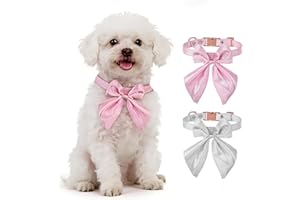 Dog Collar with Bow Tie, Pet Collar with Adjustable Alloy Buckle, Soft Dog Cat Collars for Small Medium Dogs Kitten for Hallo