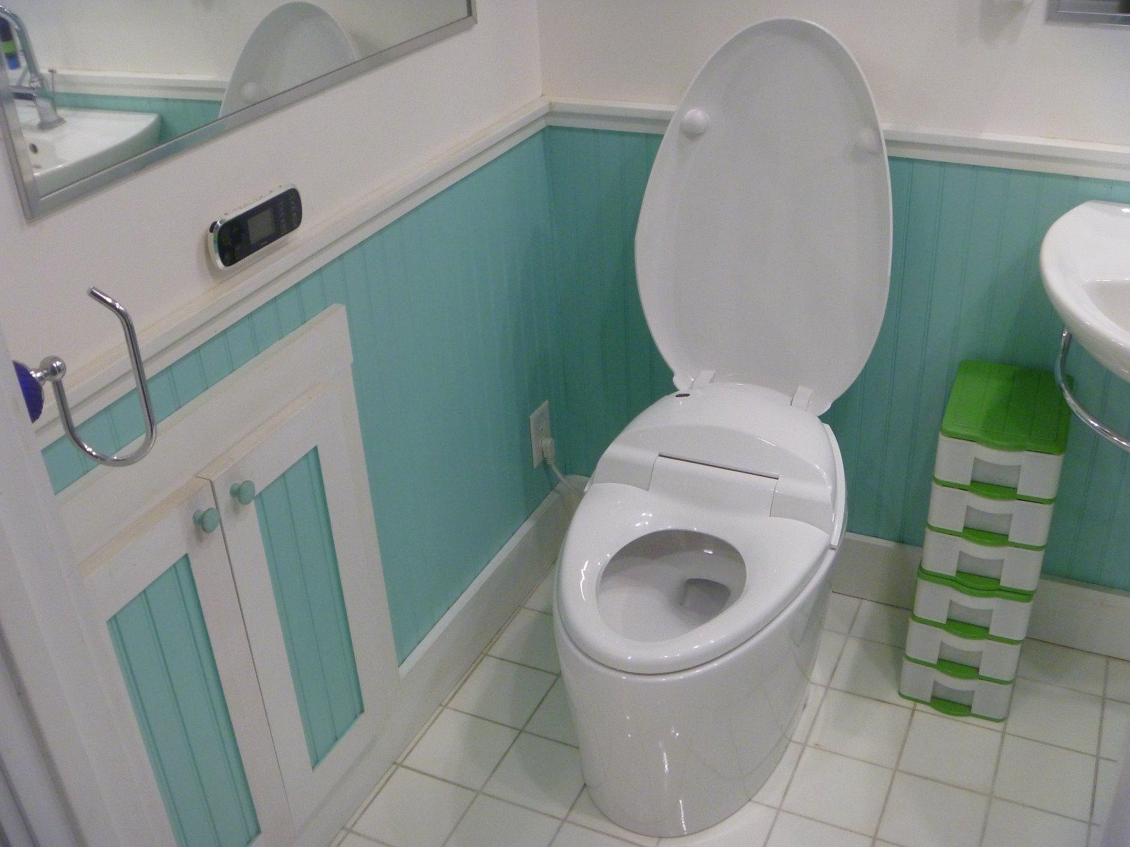 Karing Skirted OnePiece Elongated Toilet With Bidet Functionality