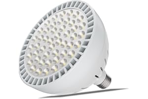 TOVEENEN 65W LED Pool Light Bulb for inground Pool - White and Blue Pool Bulb Replacement for 500W Pentair Hayward Pool Light Fixture 120V