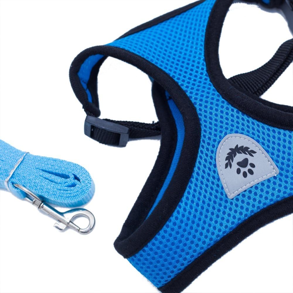 Locisne Mesh Fabric Dog Vest, Harness Soft and Adjustable Comfortable Pet Lead with Clip, Blue - Image 3